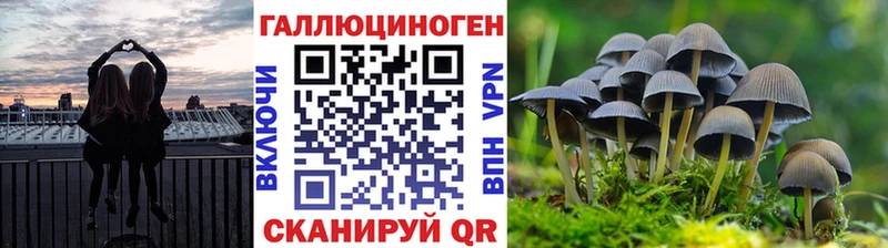 даркнет сайт  блэк спрут рабочий сайт  Галлюциногенные грибы Psilocybine cubensis  Иноземцево 