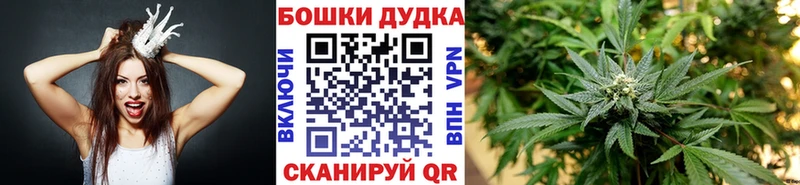 omg зеркало  даркнет сайт  Иноземцево  Конопля Amnesia 